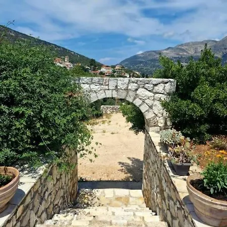 Mountain Breeze