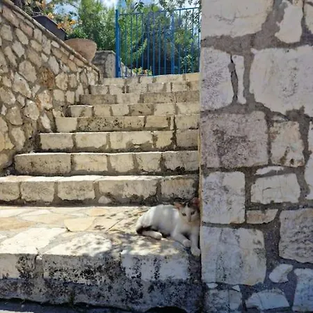 Mountain Breeze Semesterbostad Makriotika