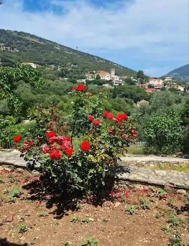 Vakantiehuis Mountain Breeze *